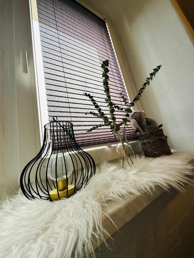 Gemuetliche Wohnung In Gruenhainichen Erzgebirge Grunhainichen ภายนอก รูปภาพ
